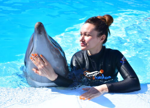 Dolphin Show Hurghada & Swimming with Dolphin 5 Min