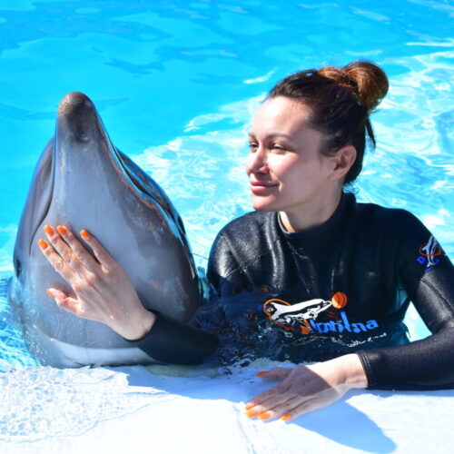Dolphin Show Hurghada & Swimming with Dolphin 5 Min