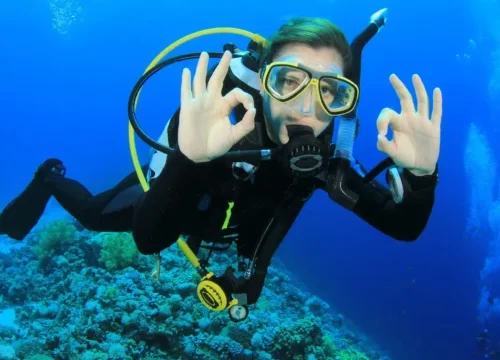 Diving course with diving book and certificate (3 days)