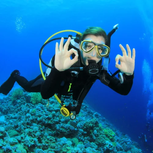 Diving course with diving book and certificate (3 days)