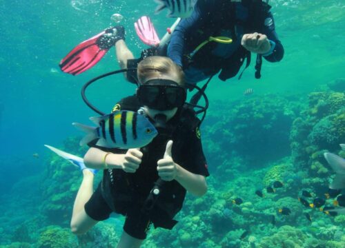 Orange Bay with Diving