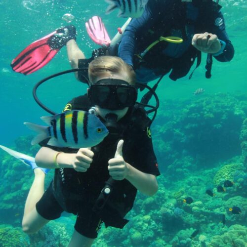 Orange Bay with Diving