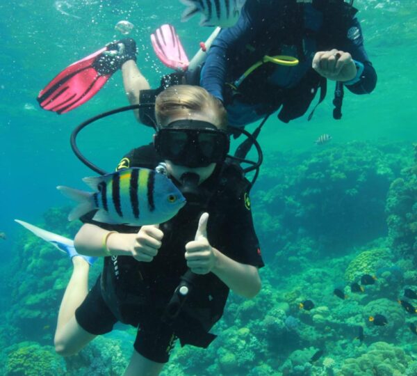 Orange Bay with Diving